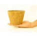 Coco Fiber  Planter Pot  for indoor gardening - 7.5 x 7.5 cm 